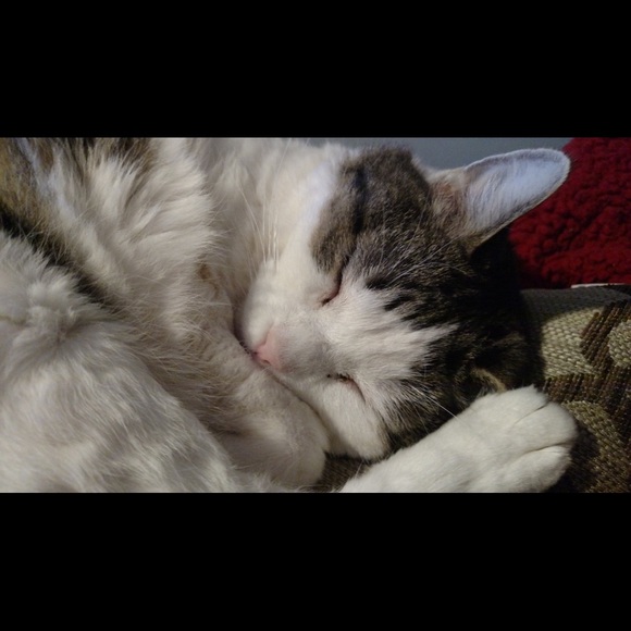 Meet your Posher, E - Picture 1 of 1